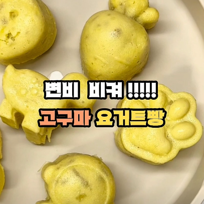 고구마 요거트빵 이미지