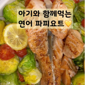 연어 파피요트 이미지