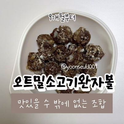 오트밀소고기완자볼 이미지