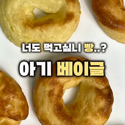 아기베이글 이미지