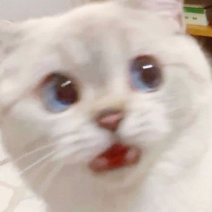 dori.yeni