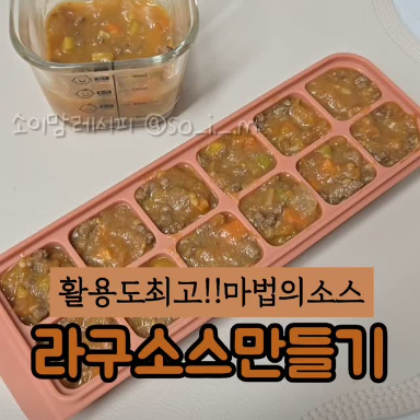 라구소스 이미지