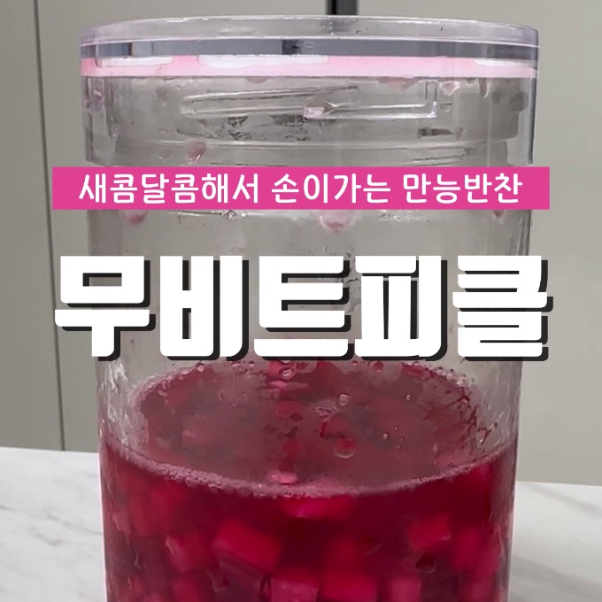 무비트피클 이미지